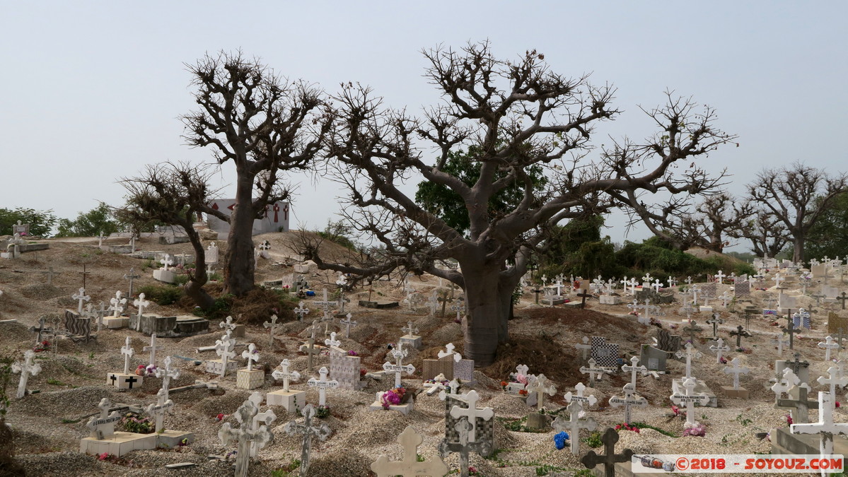 Cimetiere Chretien et Musukman de Fadiouth
Mots-clés: geo:lat=14.15642548 geo:lon=-16.82541132 geotagged Joal-Fadiout SEN Senegal Thiès Ile de Fadiouth cimetiere Arbres Baobab