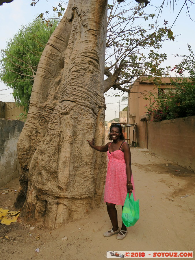 Saly Portudal - Baobab
Mots-clés: geo:lat=14.43469320 geo:lon=-17.00283676 geotagged Sali Niakhniakhal SEN Senegal Thiès