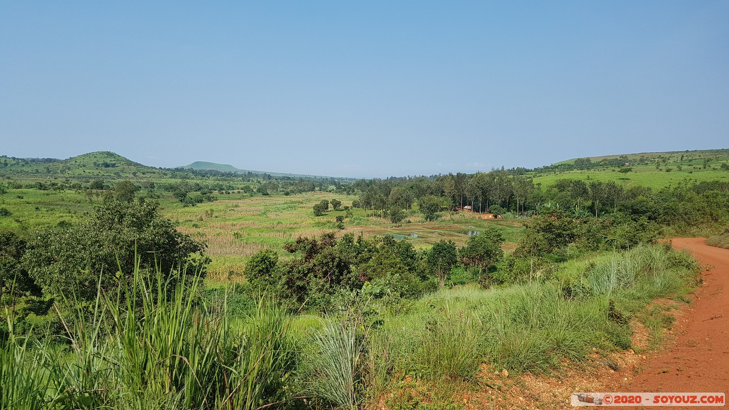 Kibondo - Road to Airstrip
Mots-clés: Kibondo Kigoma Tanzanie TZA Tanzania