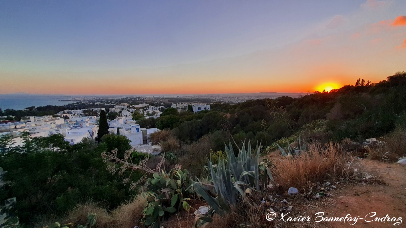 Sidi Bou Saïd - Sunset
Mots-clés: geo:lat=36.87221415 geo:lon=10.34806477 geotagged Sidi Bou Saïd TUN Tūnis Tunisie Tunis Carthage sunset Golden Hour Lumiere