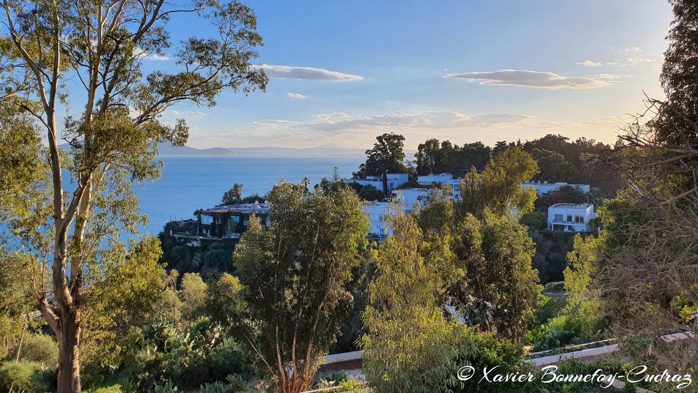 Sidi Bou Saïd - Ennejma Ezzahra Palace
Mots-clés: TUN Tunisie Sidi Bou Saïd Tunis Carthage Ennejma Ezzahra Palace