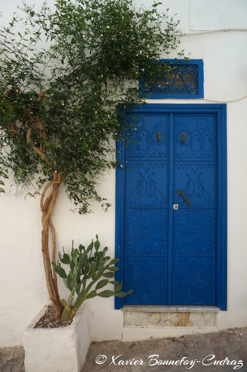 Sidi Bou Saïd
Mots-clés: geo:lat=36.87135807 geo:lon=10.34826715 geotagged Sidi Bou Saïd TUN Tūnis Tunisie Tunis Carthage