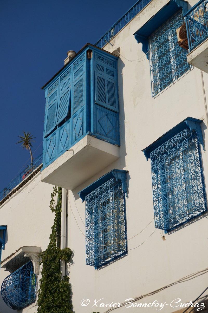 Sidi Bou Saïd
Mots-clés: geo:lat=36.87159940 geo:lon=10.34860436 geotagged Sidi Bou Saïd TUN Tūnis Tunisie Tunis Carthage