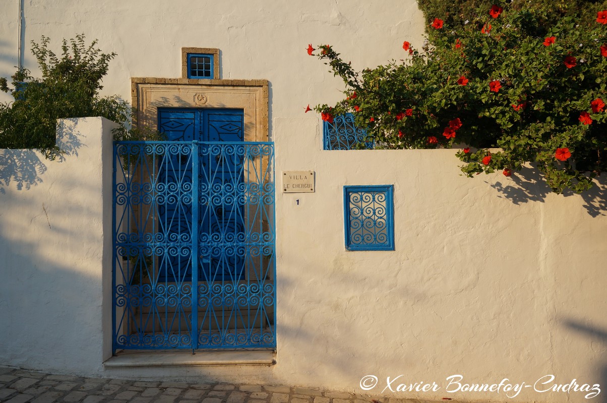 Sidi Bou Saïd
Mots-clés: geo:lat=36.87097042 geo:lon=10.35063753 geotagged Sidi Bou Saïd TUN Tūnis Tunisie Tunis Carthage