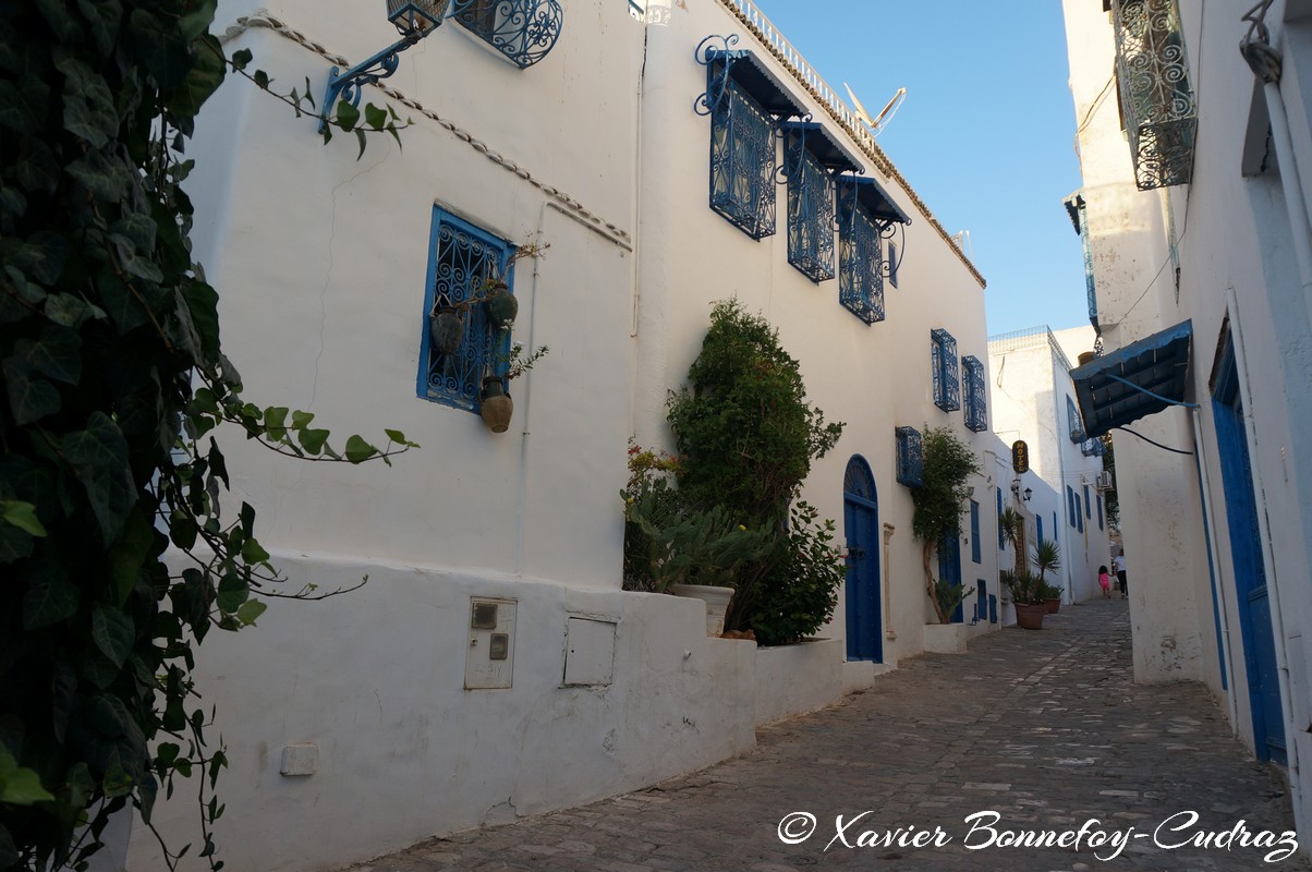 Sidi Bou Saïd
Mots-clés: geo:lat=36.87128500 geo:lon=10.34814260 geotagged Sidi Bou Saïd TUN Tūnis Tunisie Tunis Carthage