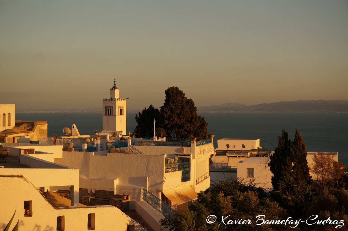 Sidi Bou Saïd - Coucher de Soleil
Mots-clés: geo:lat=36.87218138 geo:lon=10.34813061 geotagged Sidi Bou Saïd TUN Tūnis Tunisie Tunis Carthage Mer Mosque sunset Golden Hour