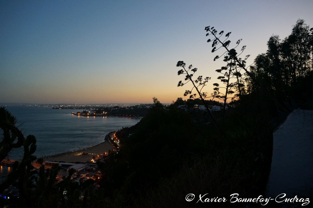 Sidi Bou Saïd
Mots-clés: geo:lat=36.86977419 geo:lon=10.35254017 geotagged Sidi Bou Saïd TUN Tūnis Tunisie Tunis Carthage Port Mer Blue Hour crepuscule Dusk