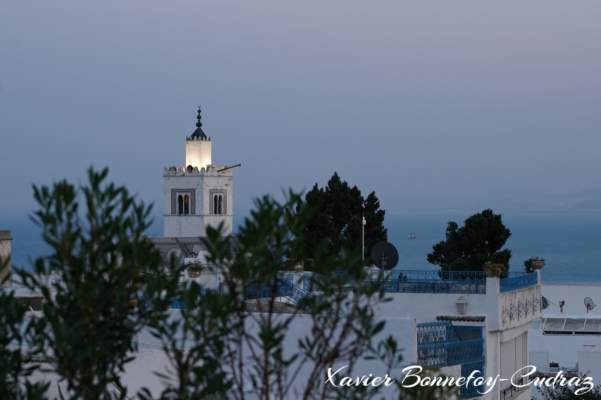 Sidi Bou Saïd - Heure bleue - Mosquee
Mots-clés: Dar Mimoun Bey geo:lat=36.87216626 geo:lon=10.34805022 geotagged TUN Tūnis Tunisie Sidi Bou Saïd Tunis Carthage sunset Mosque Religion