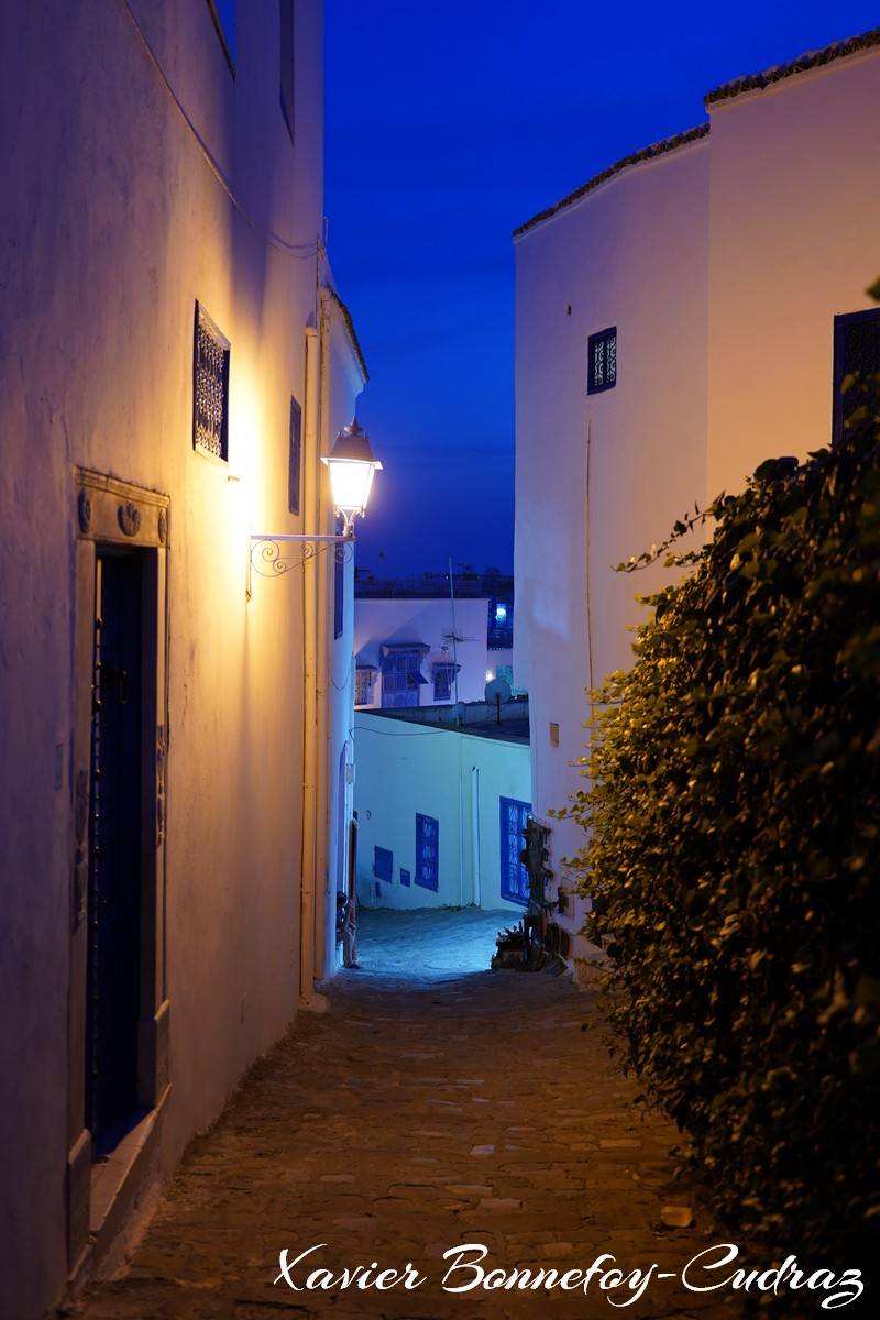 Sidi Bou Saïd by Night
Mots-clés: geo:lat=36.87140614 geo:lon=10.34849413 geotagged Sidi Bou Saïd TUN Tūnis Tunisie Tunis Carthage Nuit