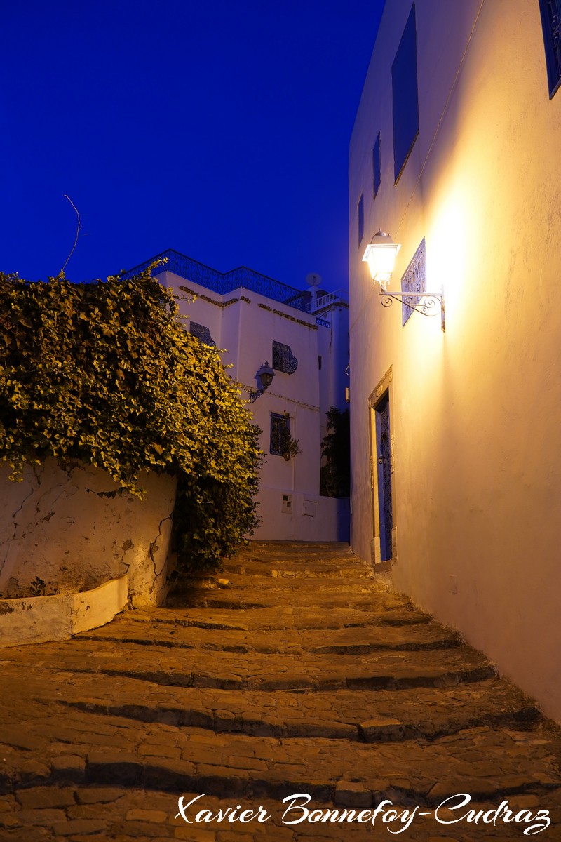 Sidi Bou Saïd by Night
Mots-clés: geo:lat=36.87116314 geo:lon=10.34803547 geotagged Sidi Bou Saïd TUN Tūnis Tunisie Tunis Carthage Nuit