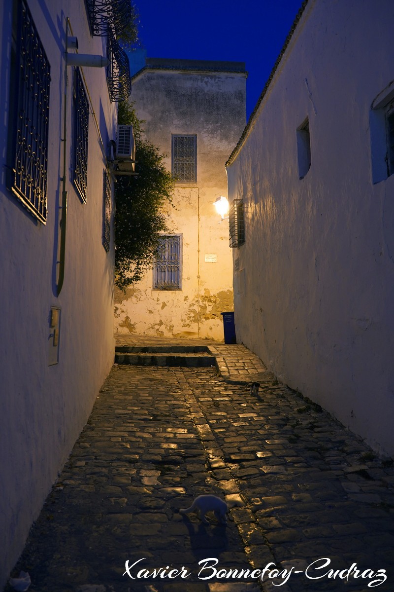 Sidi Bou Saïd by Night
Mots-clés: geo:lat=36.87139541 geo:lon=10.34843378 geotagged Sidi Bou Saïd TUN Tūnis Tunisie Tunis Carthage Nuit