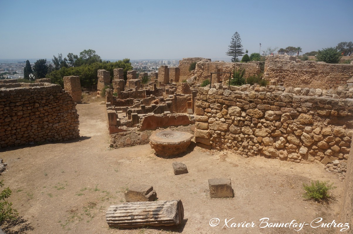 Carthage - Quartier Punique de Byrsa
Mots-clés: Carthage Byrsa geo:lat=36.85232835 geo:lon=10.32430272 geotagged TUN Tunisie Tunis Carthage Ruines romaines Quartier Punique de Byrsa