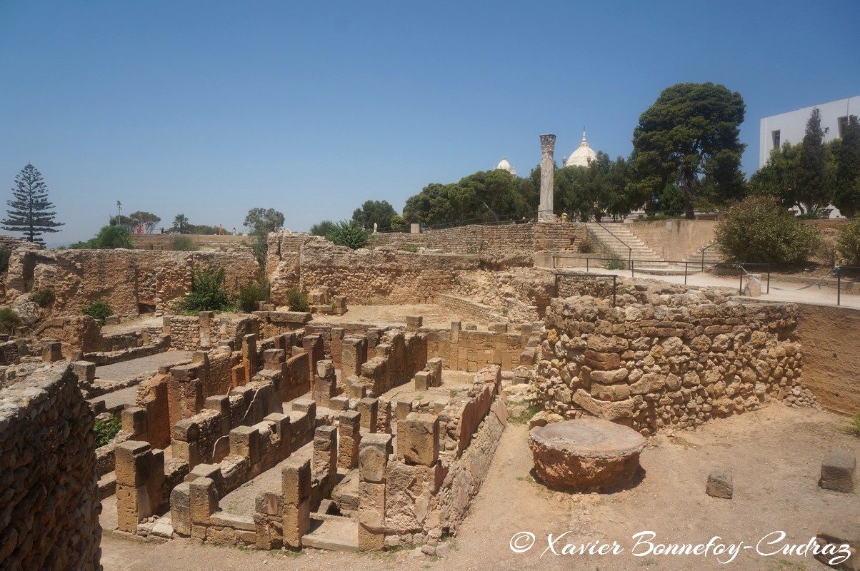 Carthage - Quartier Punique de Byrsa
Mots-clés: Carthage Byrsa geo:lat=36.85240347 geo:lon=10.32418738 geotagged TUN Tunisie Tunis Carthage Ruines romaines Quartier Punique de Byrsa