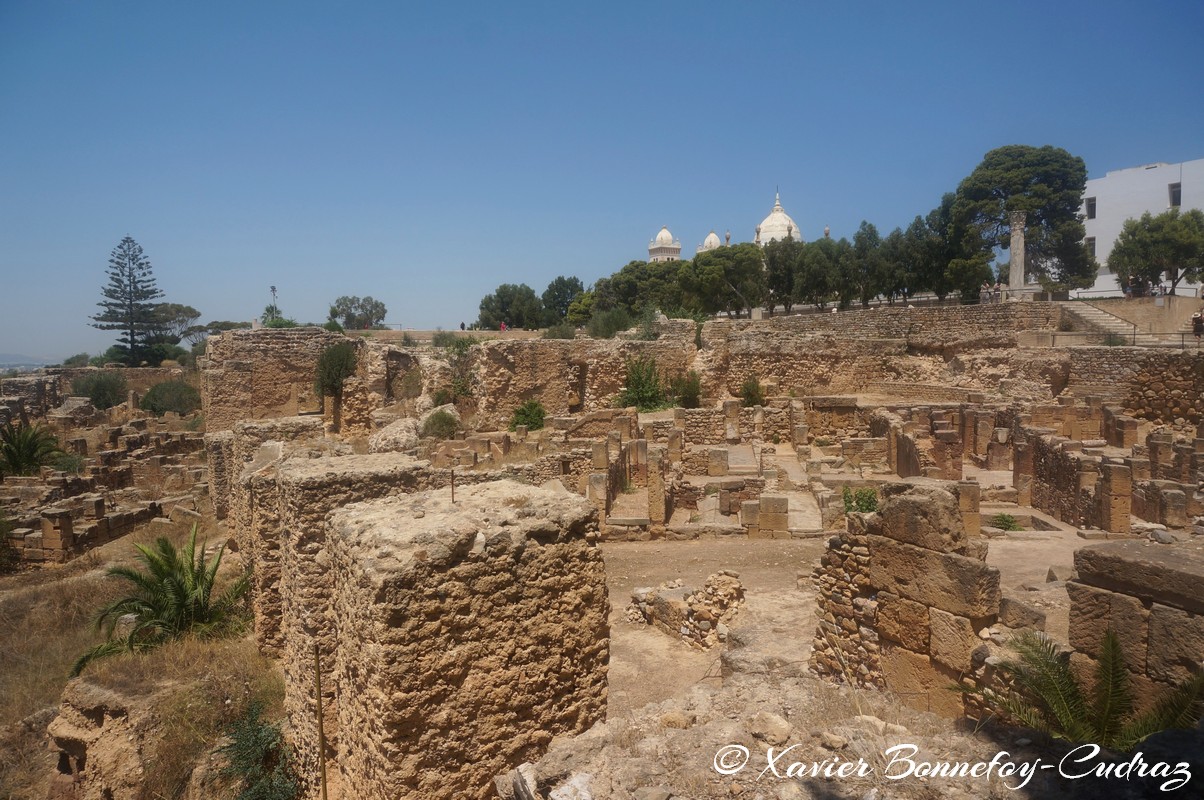 Carthage - Quartier Punique de Byrsa
Mots-clés: Carthage Byrsa geo:lat=36.85240347 geo:lon=10.32418738 geotagged TUN Tunisie Tunis Carthage Ruines romaines Quartier Punique de Byrsa