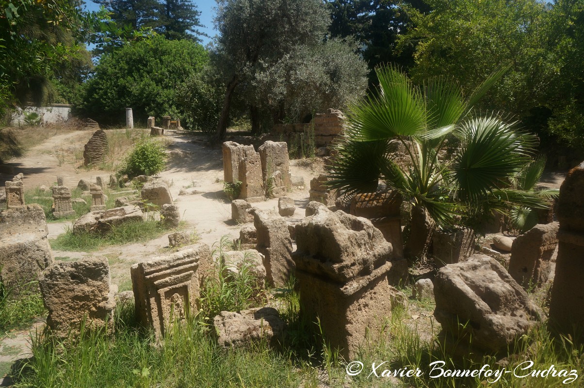 Carthage - Tophet
Mots-clés: geo:lat=36.84128263 geo:lon=10.32287279 geotagged Salammb TUN Tunisie Tunis Carthage Ruines romaines Tophet de Carthage