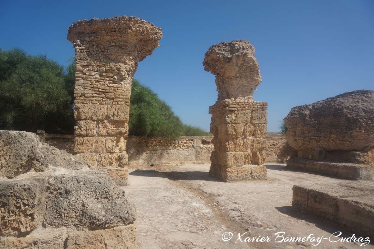 Carthage - Thermes d'Antonin
Mots-clés: Exarchate of Africa (Division of the Byzantine Empire) geo:lat=36.85410358 geo:lon=10.33490284 geotagged TUN Tunisie Tunis Carthage Ruines romaines Thermes d'Antonin