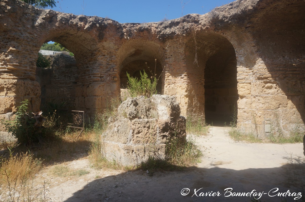 Carthage - Thermes d'Antonin
Mots-clés: Exarchate of Africa (Division of the Byzantine Empire) geo:lat=36.85501819 geo:lon=10.33528852 geotagged TUN Tunisie Tunis Carthage Ruines romaines Thermes d'Antonin