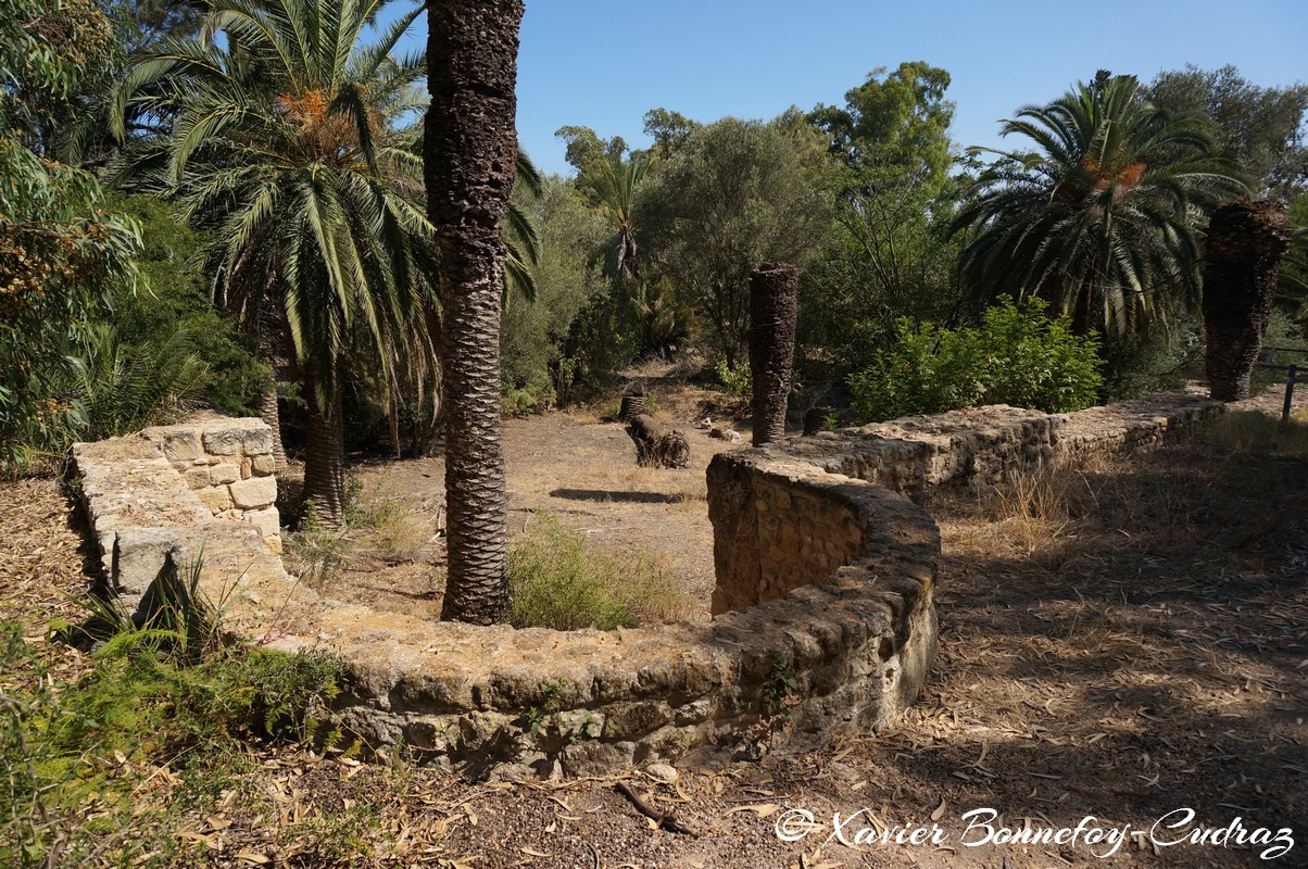 Carthage - Thermes d'Antonin
Mots-clés: Exarchate of Africa (Division of the Byzantine Empire) geo:lat=36.85493650 geo:lon=10.33220352 geotagged TUN Tunisie Tunis Carthage Ruines romaines Thermes d'Antonin