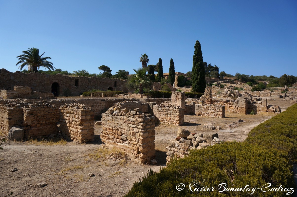 Carthage - Villas Romaines
Mots-clés: Exacharte of Africa (Division of the Byzantine Empire) geo:lat=36.85747722 geo:lon=10.33188927 geotagged TUN Tunisie Tunis Carthage Ruines romaines Villas Romaines