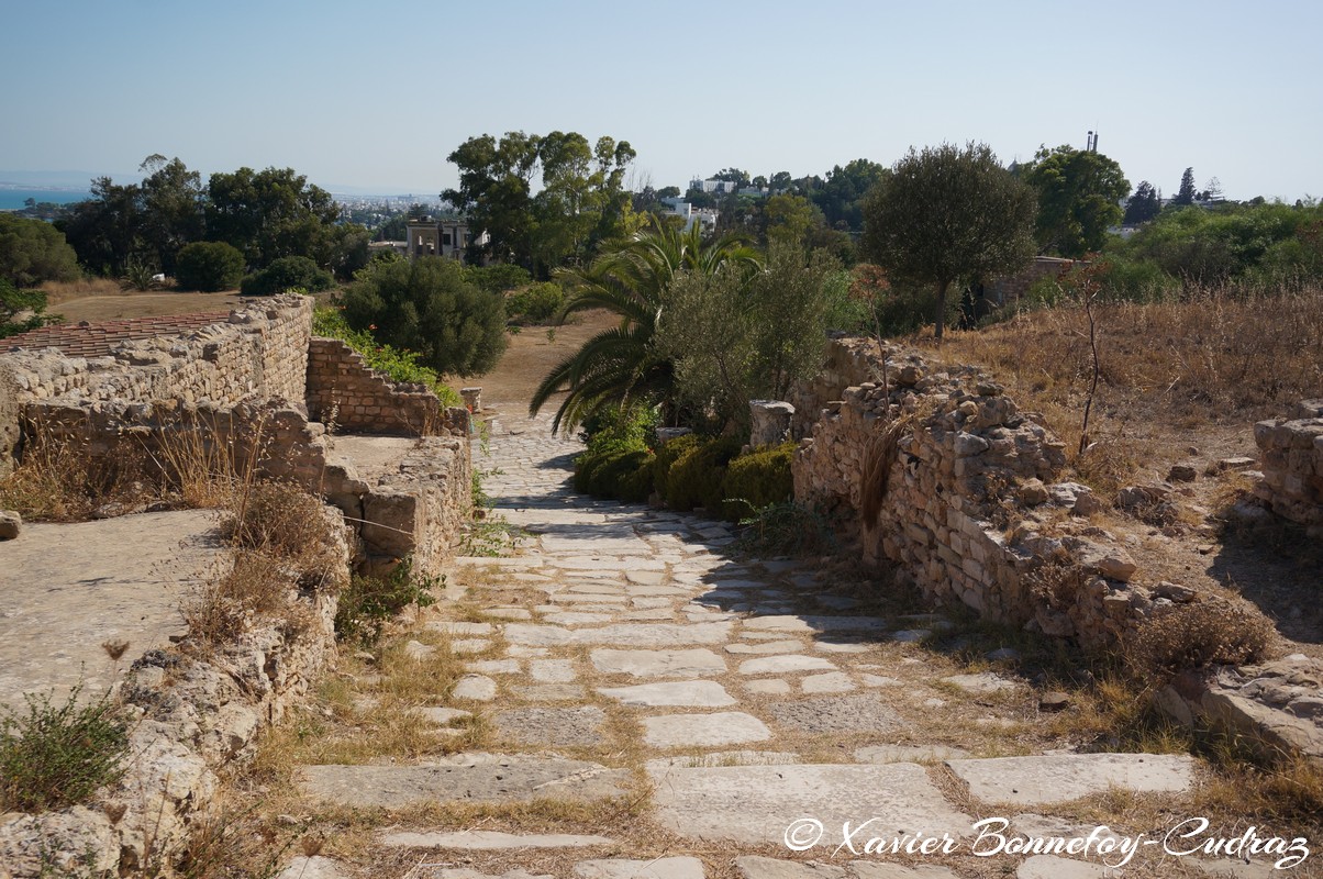 Carthage - Villas Romaines
Mots-clés: Exacharte of Africa (Division of the Byzantine Empire) geo:lat=36.85804498 geo:lon=10.33133985 geotagged TUN Tunisie Tunis Carthage Ruines romaines Villas Romaines