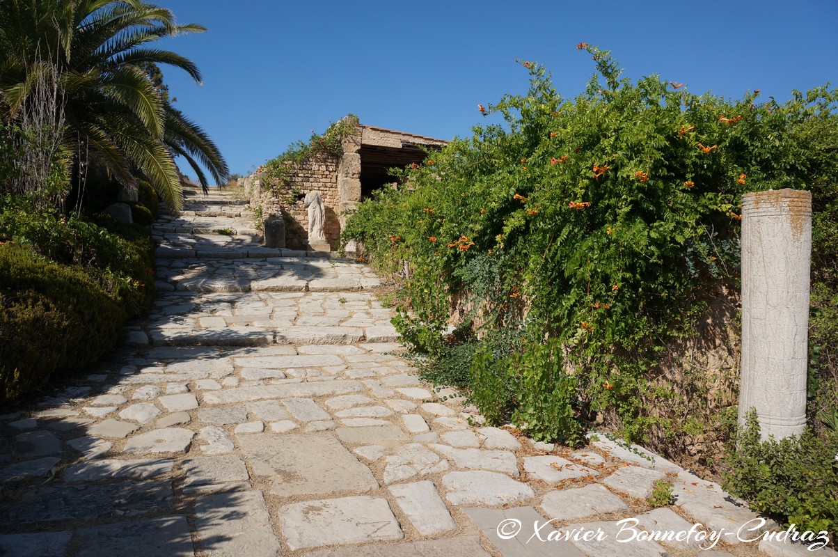 Carthage - Villas Romaines
Mots-clés: Exacharte of Africa (Division of the Byzantine Empire) geo:lat=36.85778315 geo:lon=10.33113332 geotagged TUN Tunisie Tunis Carthage Ruines romaines Villas Romaines