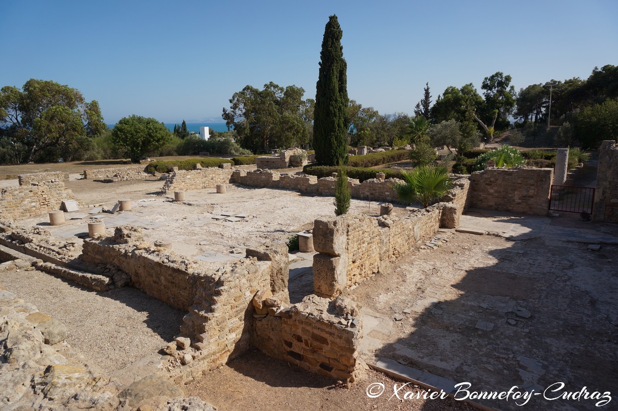 Carthage - Villas Romaines
Mots-clés: Exacharte of Africa (Division of the Byzantine Empire) geo:lat=36.85753421 geo:lon=10.33151687 geotagged TUN Tunisie Tunis Carthage Ruines romaines Villas Romaines