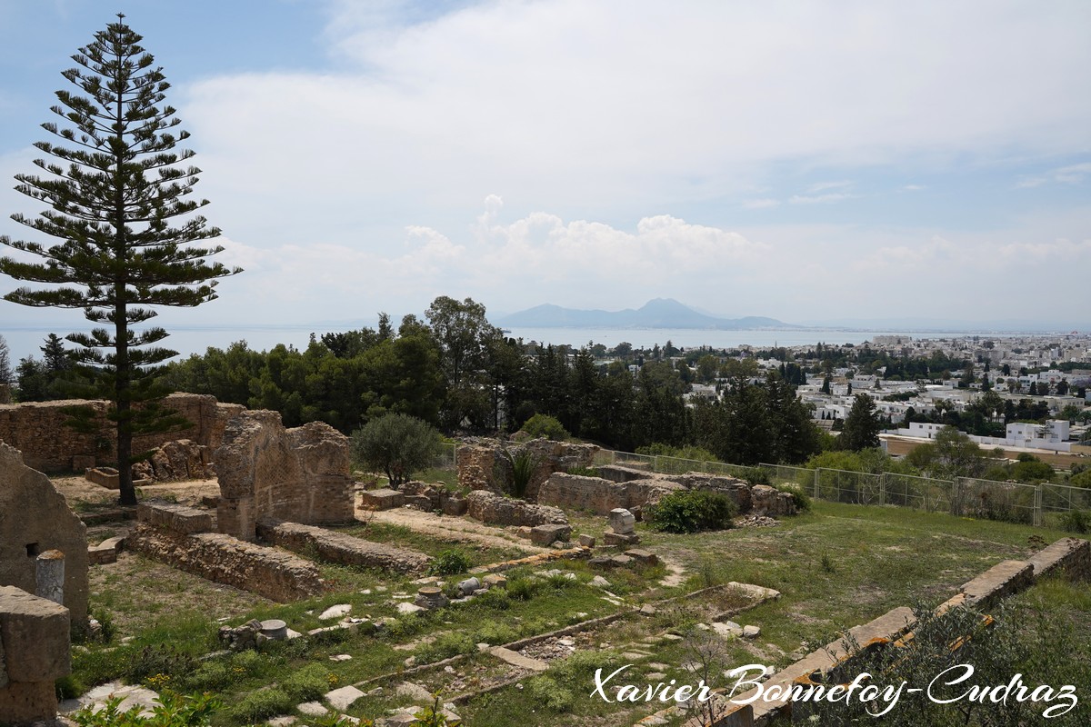 Carthage - Quartier Punique de Byrsa
Mots-clés: Carthage Byrsa geo:lat=36.85278971 geo:lon=10.32278448 geotagged TUN Tūnis Tunisie Tunis patrimoine unesco Ruines Ruines romaines Quartier Punique de Byrsa