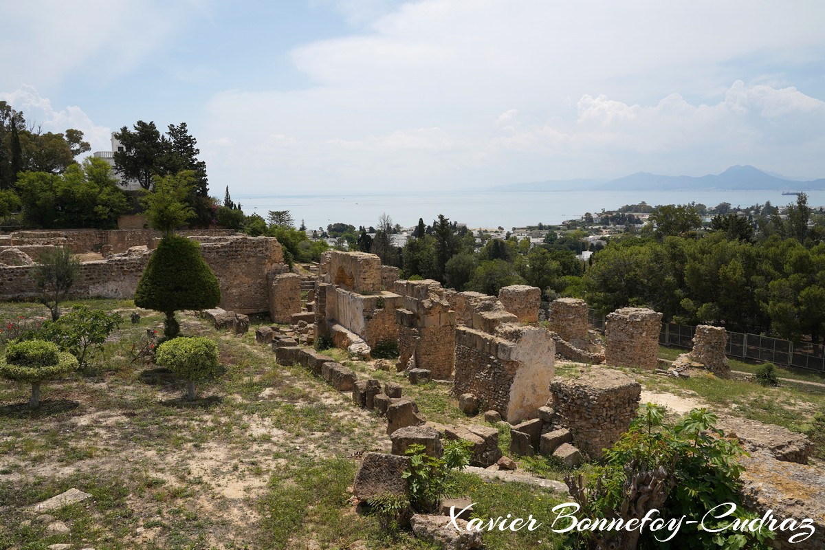 Carthage - Quartier Punique de Byrsa
Mots-clés: Carthage Byrsa geo:lat=36.85261264 geo:lon=10.32326192 geotagged TUN Tūnis Tunisie Tunis patrimoine unesco Ruines Ruines romaines Quartier Punique de Byrsa