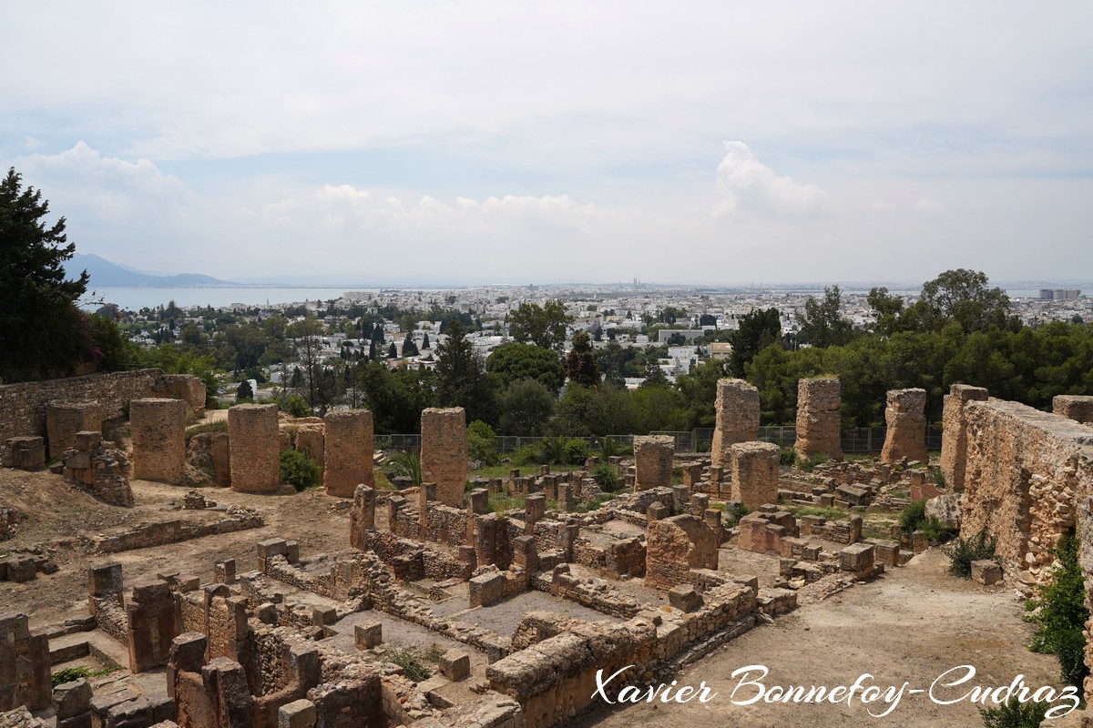 Carthage - Quartier Punique de Byrsa
Mots-clés: Carthage Byrsa geo:lat=36.85255791 geo:lon=10.32398745 geotagged TUN Tūnis Tunisie Tunis patrimoine unesco Ruines Ruines romaines Quartier Punique de Byrsa