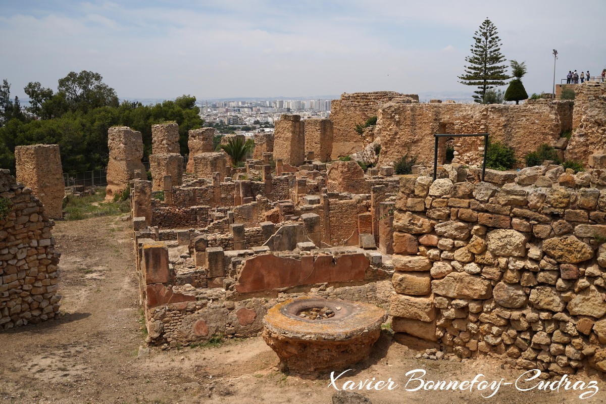 Carthage - Quartier Punique de Byrsa
Mots-clés: Carthage Byrsa geo:lat=36.85241036 geo:lon=10.32423086 geotagged TUN Tūnis Tunisie Tunis patrimoine unesco Ruines Ruines romaines Quartier Punique de Byrsa