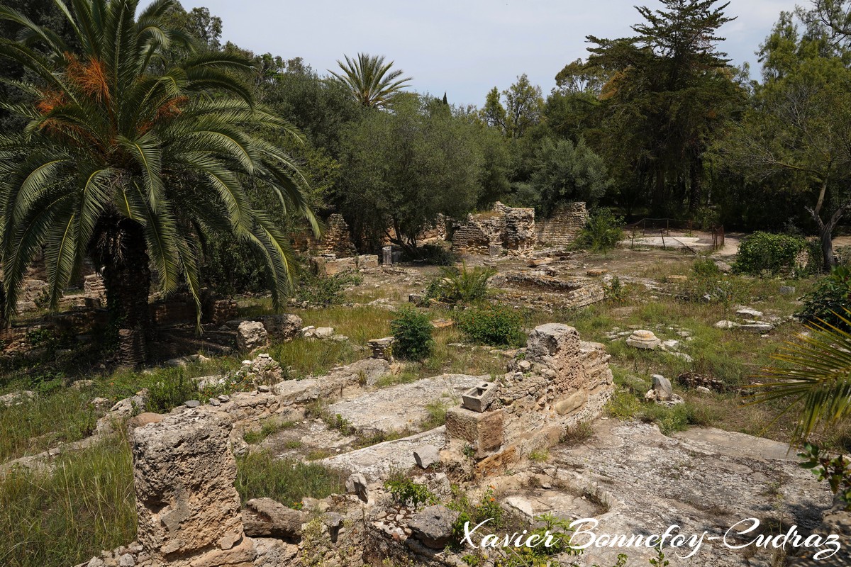 Carthage - Thermes d'Antonin
Mots-clés: Exarchate of Africa (Division of the Byzantine Empire) geo:lat=36.85486939 geo:lon=10.33233315 geotagged TUN Tūnis Tunisie Tunis patrimoine unesco Ruines Ruines romaines Thermes d'Antonin