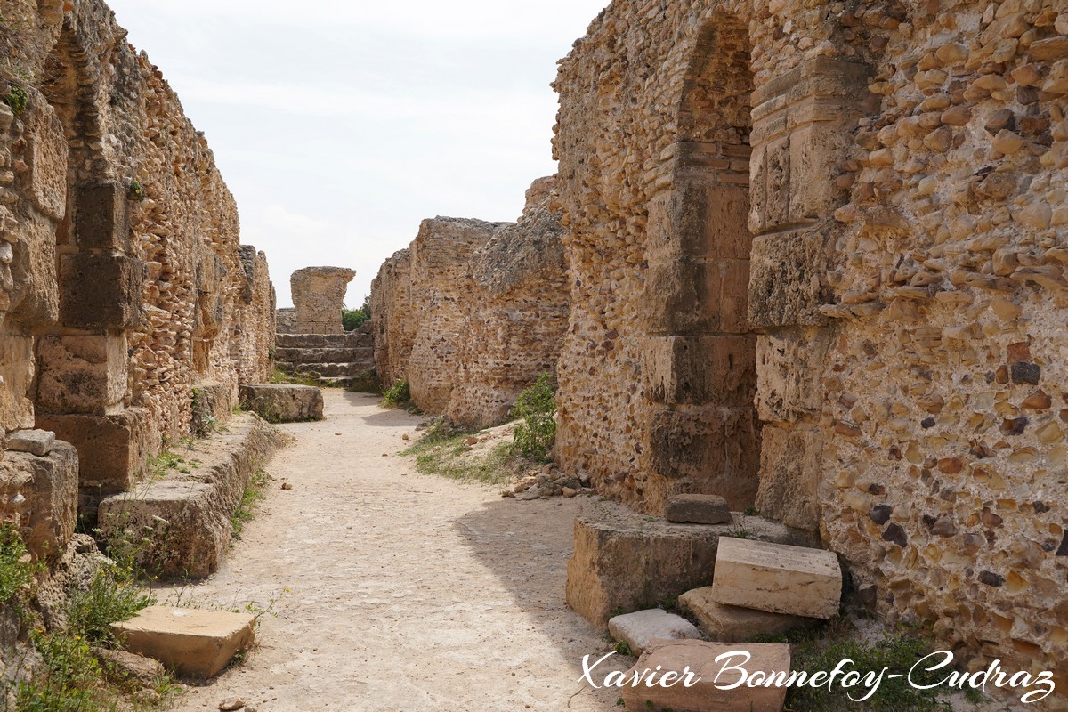 Carthage - Thermes d'Antonin
Mots-clés: Exarchate of Africa (Division of the Byzantine Empire) geo:lat=36.85439851 geo:lon=10.33548206 geotagged TUN Tūnis Tunisie Tunis patrimoine unesco Ruines Ruines romaines Thermes d'Antonin