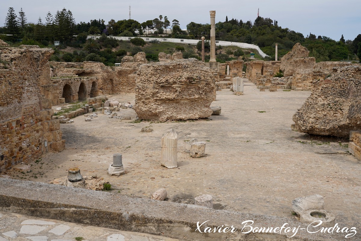 Carthage - Thermes d'Antonin
Mots-clés: Exarchate of Africa (Division of the Byzantine Empire) geo:lat=36.85356169 geo:lon=10.33455938 geotagged TUN Tūnis Tunisie Tunis patrimoine unesco Ruines Ruines romaines Thermes d'Antonin