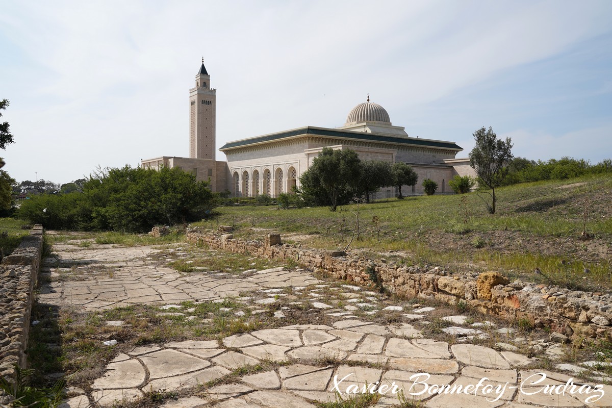 Carthage - Mosquee Malik ibn Anas
Mots-clés: Exacharte of Africa (Division of the Byzantine Empire) geo:lat=36.85841804 geo:lon=10.32986552 geotagged TUN Tūnis Tunisie Tunis Ruines romaines Villas Romaines Religion Mosque