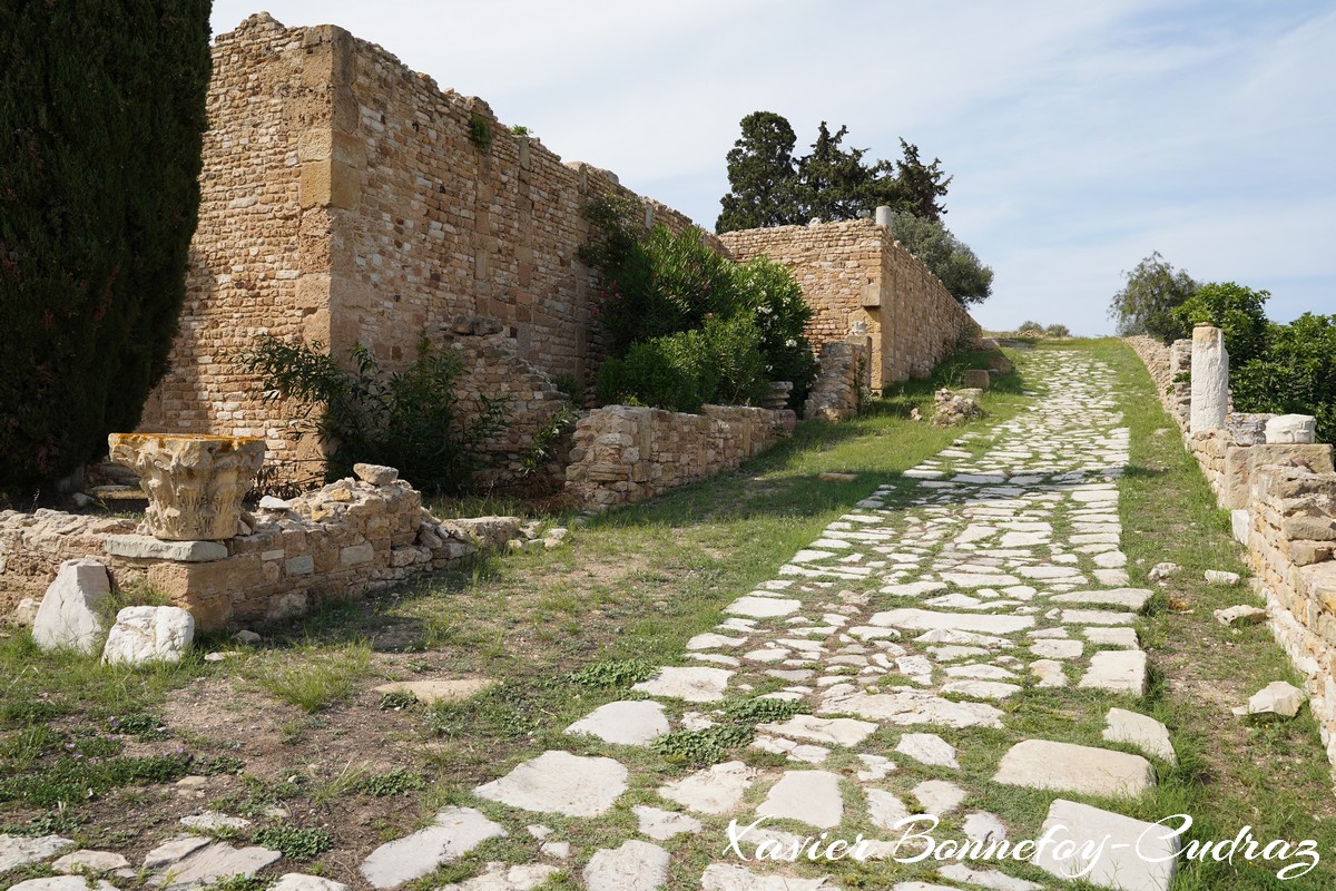 Carthage - Villas Romaines
Mots-clés: Exacharte of Africa (Division of the Byzantine Empire) geo:lat=36.85770124 geo:lon=10.33129513 geotagged TUN Tūnis Tunisie Tunis patrimoine unesco Ruines Ruines romaines Villas Romaines