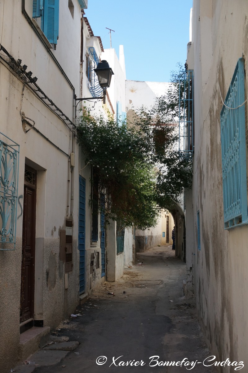 Tunis - Medina
Mots-clés: geo:lat=36.79289644 geo:lon=10.17269688 geotagged Tourbet El Bey TUN Tūnis Tunisie Medina