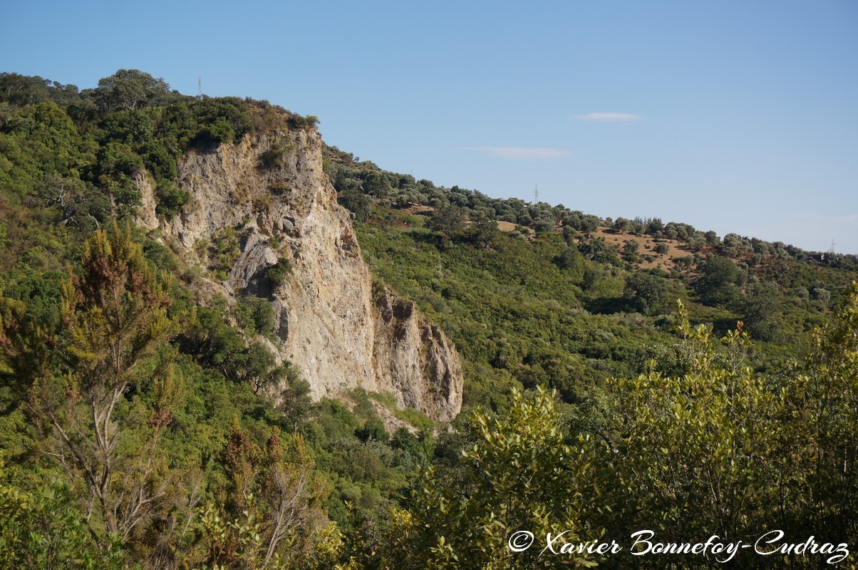 Ain Draham - Fernana
Mots-clés: geo:lat=36.72017867 geo:lon=8.73224089 geotagged Jundūbah Sidi Ahmed TUN Tunisie Jendouba Ain Draham Fernana Arbres