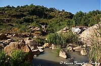 DSC05357.JPG