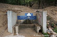 DSC05503.JPG