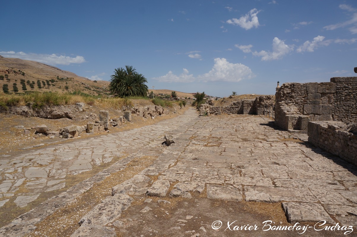 Bulla Regia - Voie Romaine
Mots-clés: El Hammam geo:lat=36.55776742 geo:lon=8.75430035 geotagged Jundūbah TUN Tunisie Bulla Regia Ruines romaines Ruines Romain Jendouba