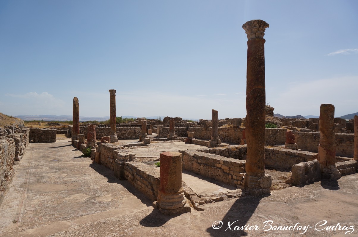 Bulla Regia - Maison de la chasse
Mots-clés: El Hammam geo:lat=36.56033738 geo:lon=8.75321800 geotagged Jundūbah TUN Tunisie Bulla Regia Ruines romaines Ruines Romain Jendouba Maison dite d'Amphitrite Maison de la chasse