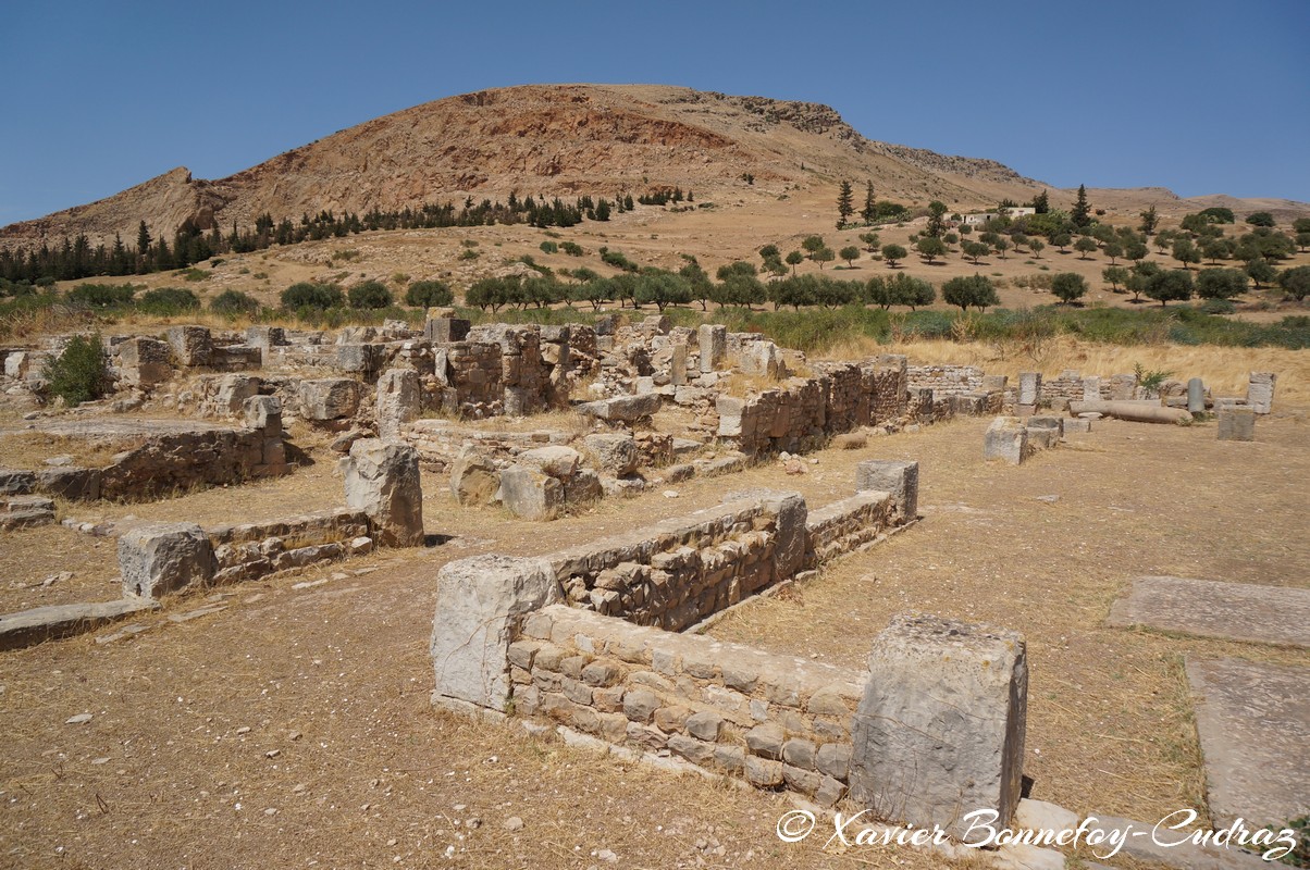 Bulla Regia - Maison dite d'Amphitrite
Mots-clés: El Hammam geo:lat=36.56159050 geo:lon=8.75302975 geotagged Jundūbah TUN Tunisie Bulla Regia Ruines romaines Ruines Romain Jendouba