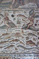 DSC05639b_DxOVP.jpg