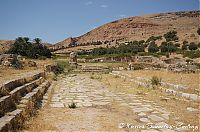 DSC05649.JPG