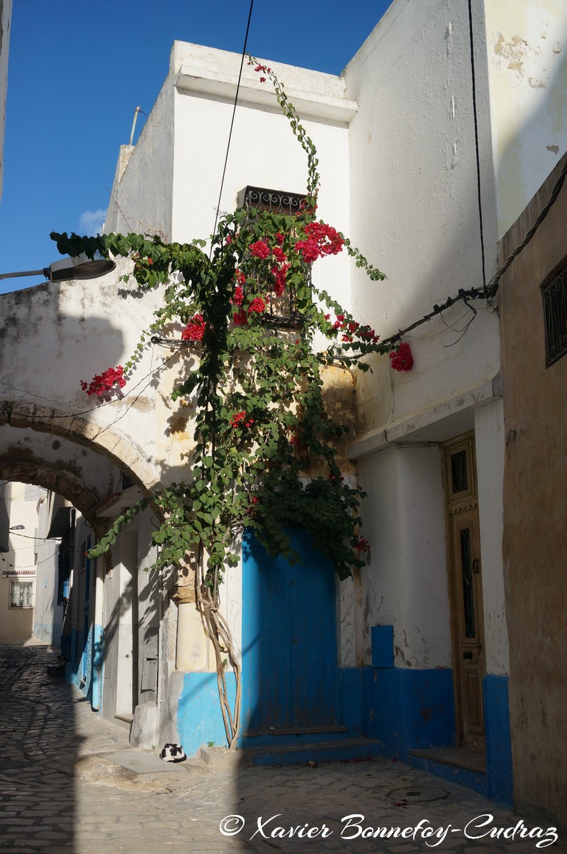 Bizerte - La Medina
Mots-clés: Banzart geo:lat=37.27939279 geo:lon=9.87567365 geotagged La Kasbah TUN Tunisie Bizerte Medina