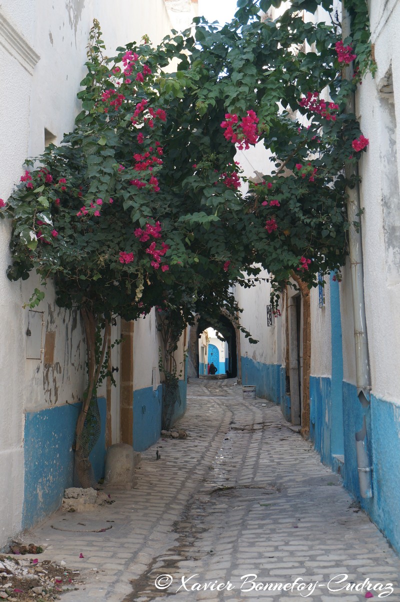Bizerte - La Medina
Mots-clés: Banzart geo:lat=37.27924767 geo:lon=9.87641931 geotagged La Kasbah TUN Tunisie Bizerte Medina