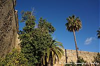 DSC05942.JPG