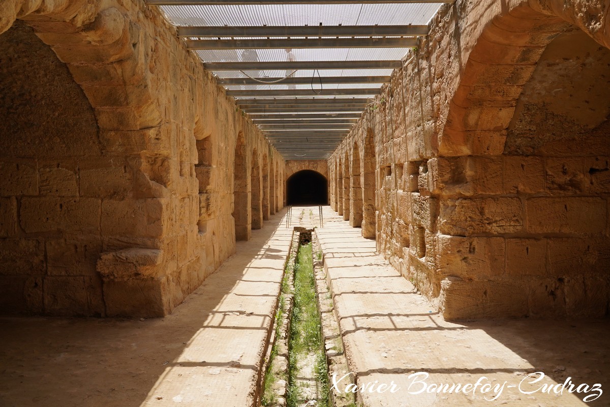 El Jem - Amphitheatre
Mots-clés: Al Mahdīyah El Jem geo:lat=35.29646815 geo:lon=10.70712894 geotagged TUN Tunisie Mahdia Amphitheatre Ruines Ruines romaines patrimoine unesco