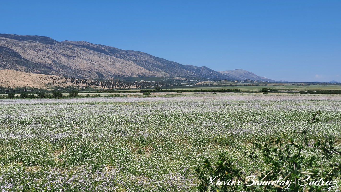 Zaouia Sidi Ameur
Mots-clés: geo:lat=35.85441627 geo:lon=9.53626089 geotagged Silyānah TUN Tunisie Zaouïa Sidi Ameur Zaouia Sidi Ameur Siliana paysage fleur