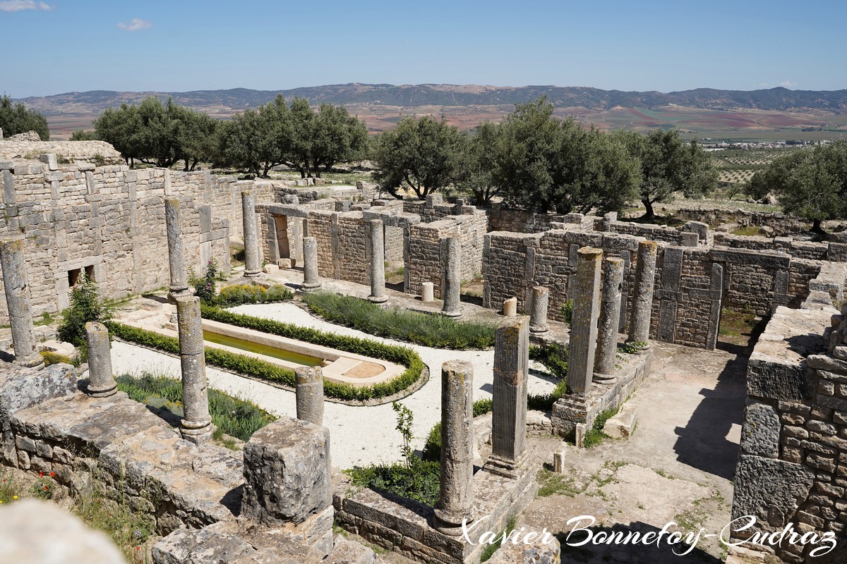 Dougga - Maison du Trifolium
Mots-clés: Bājah Dougga geo:lat=36.42163209 geo:lon=9.21985544 geotagged TUN Tunisie Beja Thugga Ruines Ruines romaines patrimoine unesco Maison du Trifolium